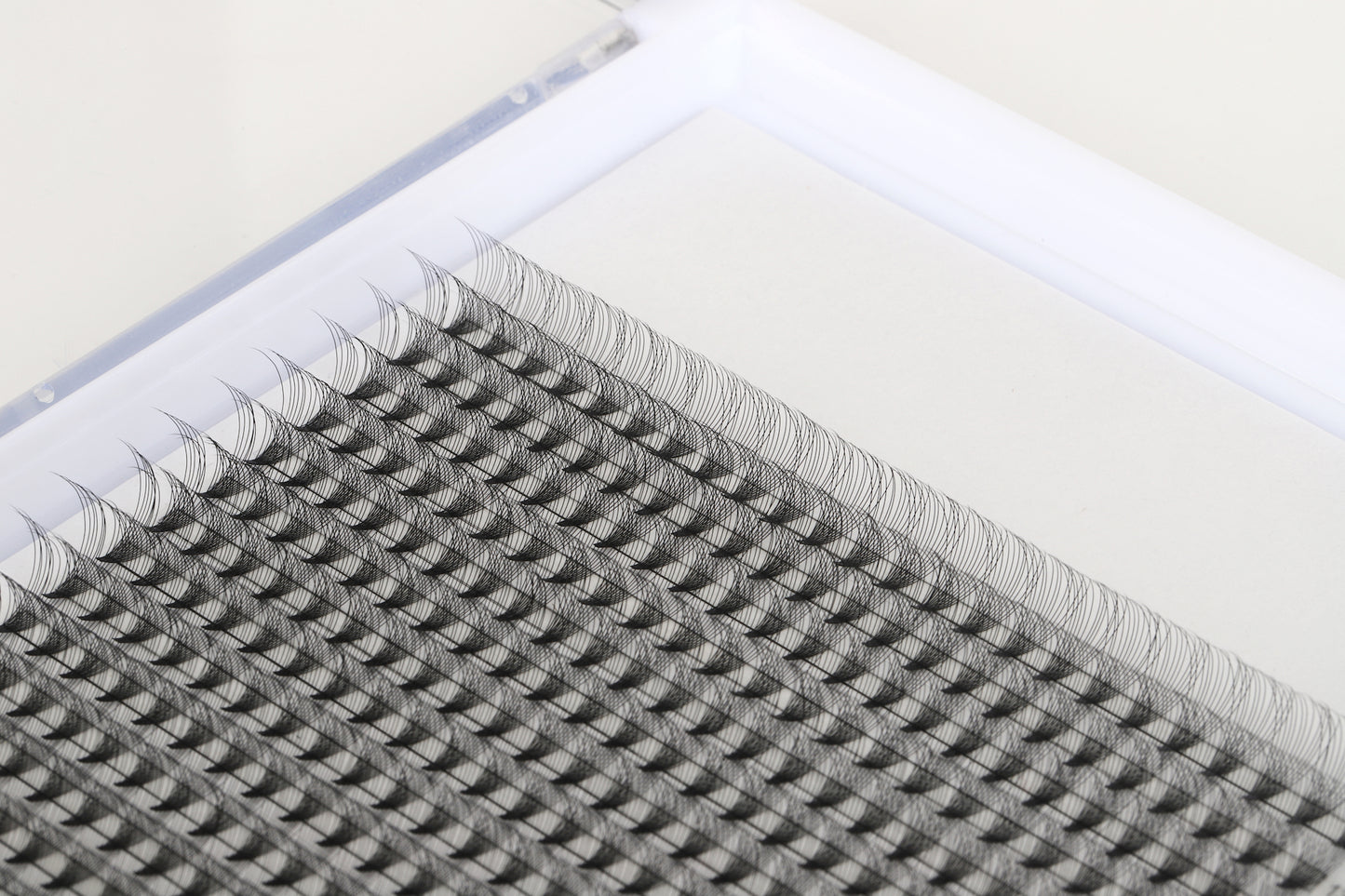 12D D Curl 0.05 XL Lash Tray