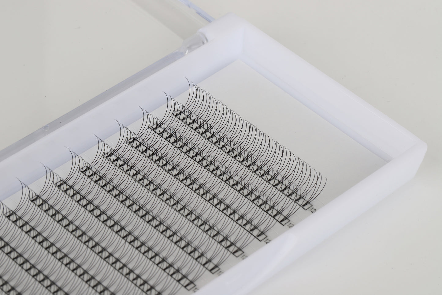 3D CC Curl 0.10. Lash Tray