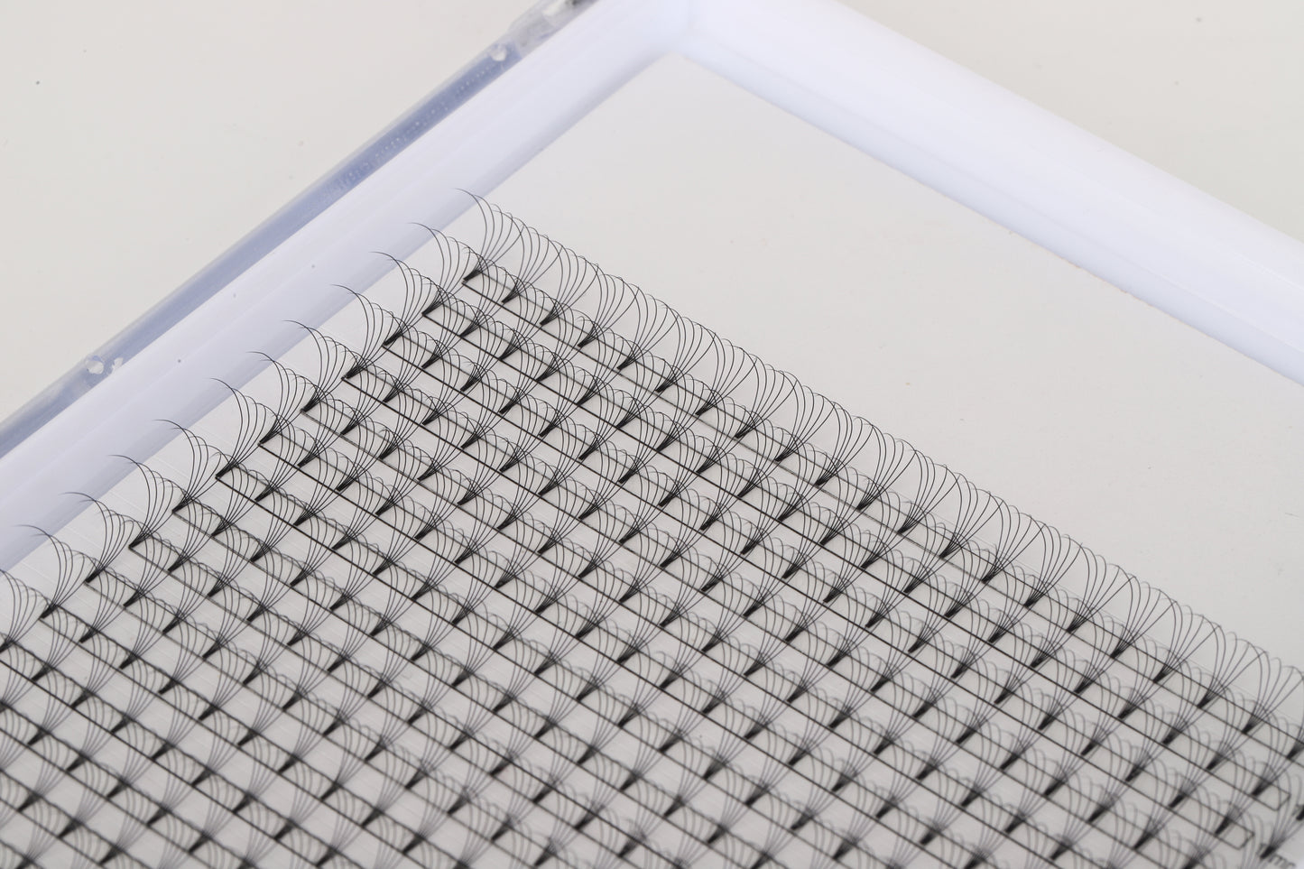 5D D Curl 0.07 XL Lash Tray