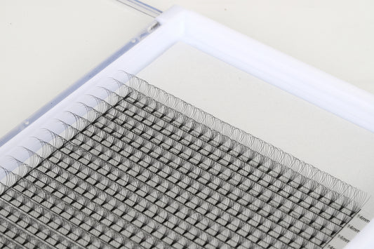 8D D Curl 0.05 XL Lash Tray